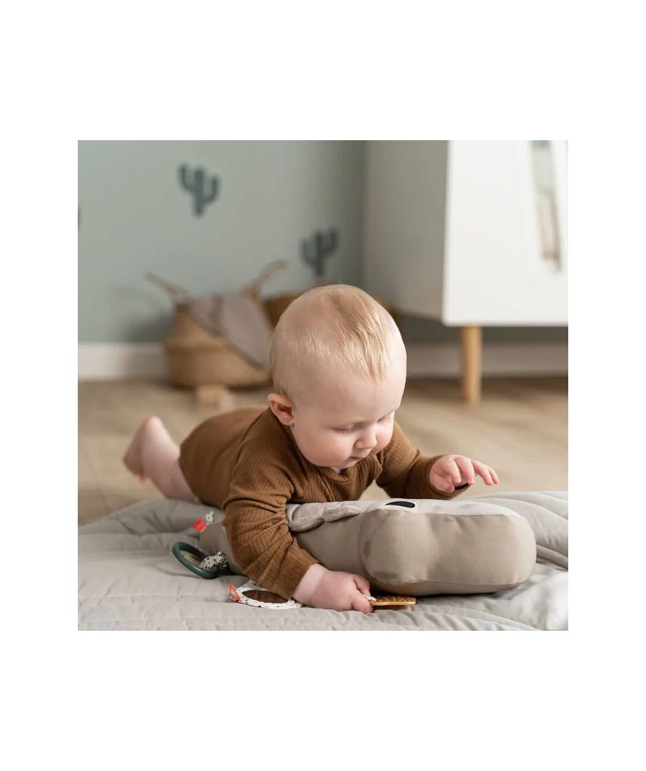 05022023122916.Tummy-time-activity-toy-Croco-Sand-7-LS_700x-thumbnail-2000x2000-1.jpg